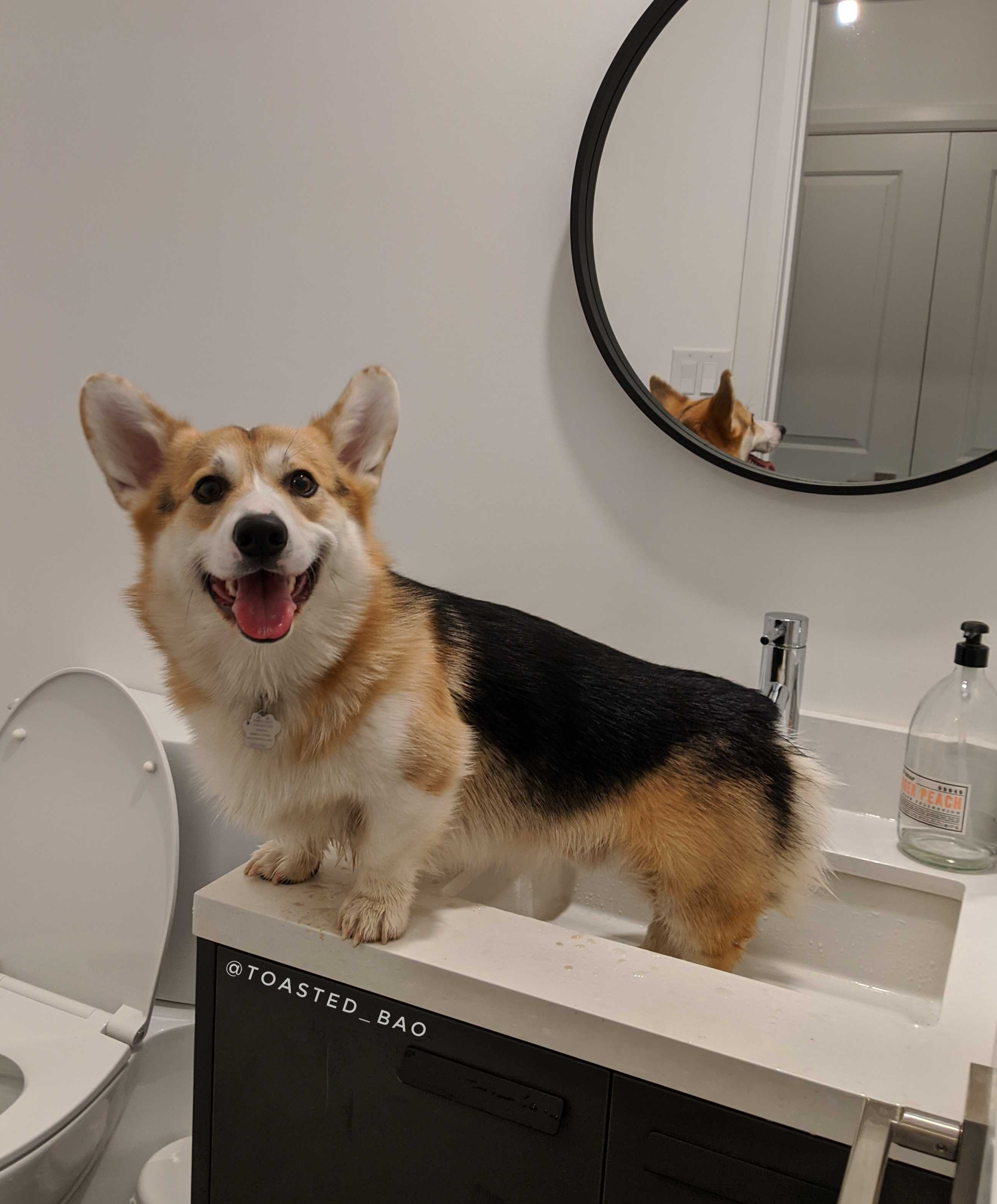 Sink Washing